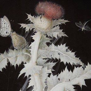 Meet your Posher, Ann